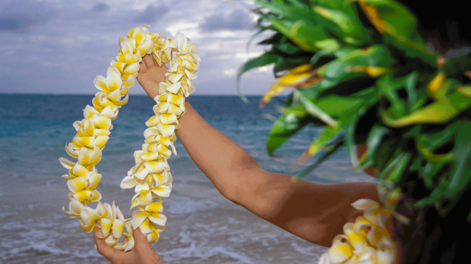 hawaii-lei.adapt.945.1