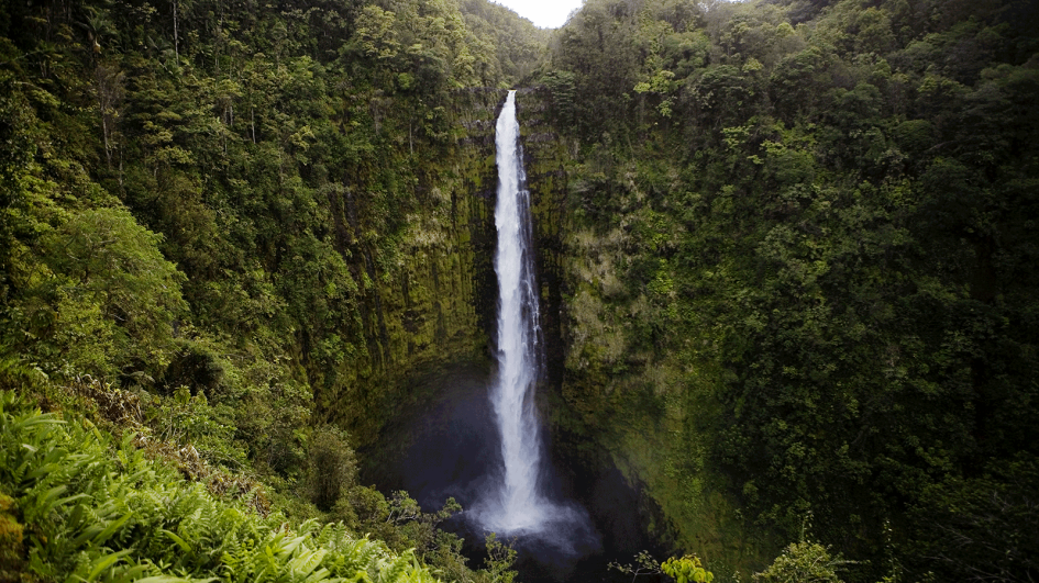 hawaii-waterfall.adapt.945.1